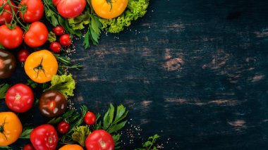 Ürün yelpazesine renkli taze domates. Siyah ahşap arka plan üzerinde. Üstten Görünüm. Kopya alanı.