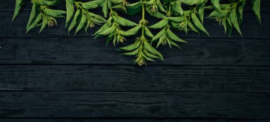 Siyah ahşap zemin taze ısırgan. Üstten görünüm. Kopya alanı.