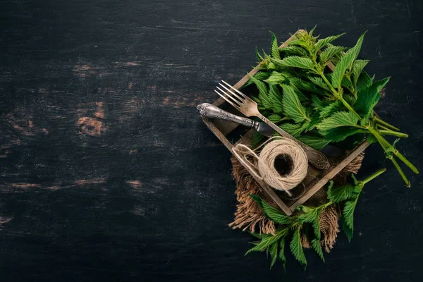 Siyah ahşap zemin taze ısırgan. Üstten görünüm. Kopya alanı.