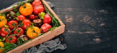 Ürün yelpazesine domates mezarda. Taze sebze. Siyah ahşap arka plan üzerinde. Üstten Görünüm. Kopya alanı.