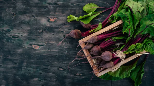 Ahşap kutusunda taze pancar. Ahşap bir arka plan üzerinde. Üstten görünüm. Kopya alanı.