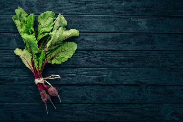 Taze pancar yeşil yaprakları ile. Ahşap bir arka plan üzerinde. Üstten görünüm. Kopya alanı.