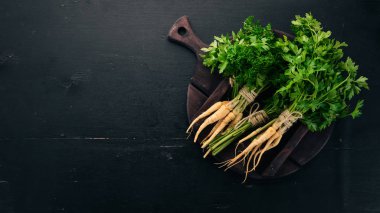 Taze yeşil maydanoz. Kök maydanoz. Ahşap bir arka plan üzerinde. Üstten görünüm. Kopya alanı.