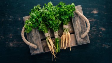 Yeşil maydanoz mezarda. Taze sebze. Ahşap bir arka plan üzerinde. Üstten görünüm. Kopya alanı.