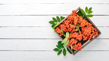 Kırmızı rowanberry mezarda. Beyaz ahşap zemin üzerinde. Üstten görünüm. Metniniz için boş alan.