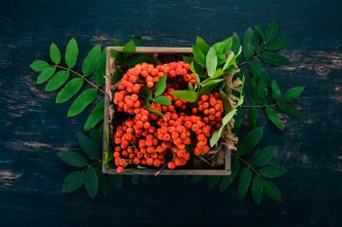 Kırmızı rowanberry mezarda. Siyah ahşap arka plan üzerinde. Üstten görünüm. Metniniz için boş alan.