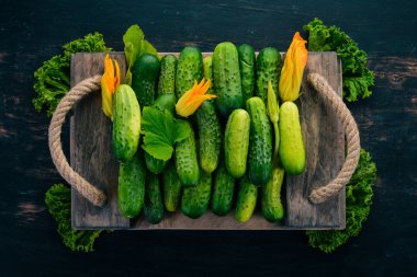 Taze yeşil salatalık. Çiçek salatalık. Ahşap bir arka plan üzerinde. Üstten görünüm. Kopya alanı.