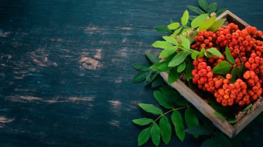 Kırmızı rowanberry mezarda. Siyah ahşap arka plan üzerinde. Üstten görünüm. Metniniz için boş alan.