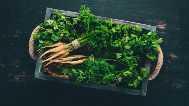 Yeşil maydanoz mezarda. Taze sebze. Ahşap bir arka plan üzerinde. Üstten görünüm. Kopya alanı.