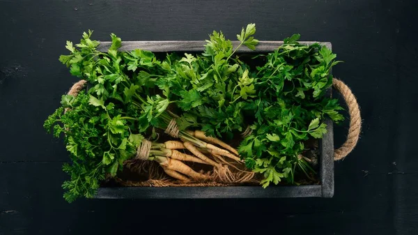 Yeşil Maydanoz Mezarda Taze Sebze Ahşap Bir Arka Plan Üzerinde — Stok fotoğraf