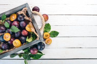 Erik mezarda yaprakları ile. Beyaz ahşap zemin üzerinde. Üstten görünüm. Metniniz için boş alan.