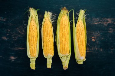 Siyah ahşap bir masa üzerinde taze sarı Mısır. Sebze. Üstten görünüm. Kopya alanı.