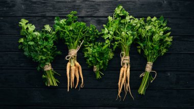 Taze yeşil maydanoz. Kök maydanoz. Ahşap bir arka plan üzerinde. Üstten görünüm. Kopya alanı.