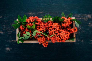 Kırmızı rowanberry mezarda. Siyah ahşap arka plan üzerinde. Üstten görünüm. Metniniz için boş alan.