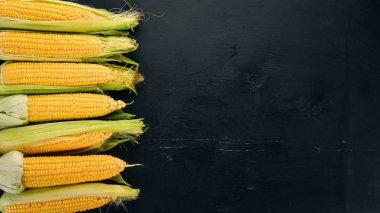 Siyah ahşap bir masa üzerinde taze sarı Mısır. Sebze. Üstten görünüm. Kopya alanı.