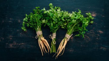 Taze yeşil maydanoz. Kök maydanoz. Ahşap bir arka plan üzerinde. Üstten görünüm. Kopya alanı.