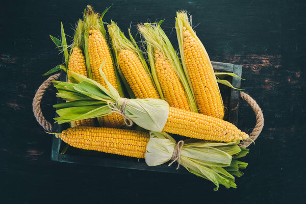 corn in a wooden box. Fresh vegetables. On a black wooden background. Top view. Copy space.