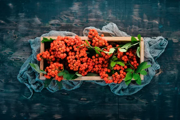 Červené Jeřabinovo Dřevěné Krabičce Černém Pozadí Dřevěná Pohled Shora Volné — Stock fotografie