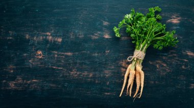 Taze yeşil maydanoz. Kök maydanoz. Ahşap bir arka plan üzerinde. Üstten görünüm. Kopya alanı.