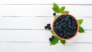 Taze böğürtlen bir tabak içinde. Beyaz bir arka plan üzerinde. Üstten görünüm. Metin için boş alan.
