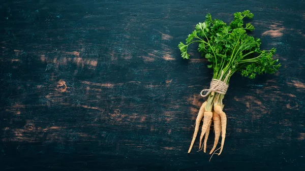 Taze yeşil maydanoz. Kök maydanoz. Ahşap bir arka plan üzerinde. Üstten görünüm. Kopya alanı.