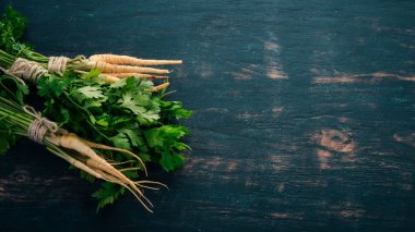 Taze yeşil maydanoz. Kök maydanoz. Ahşap bir arka plan üzerinde. Üstten görünüm. Kopya alanı.