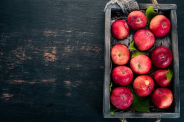 Mezarda taze kırmızı elma. Organik gıda. Siyah bir arka plan üzerinde. Üstten görünüm. Metin için boş alan.