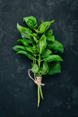 Taze yeşil fesleğen. Üstten görünüm. Arka plan üzerinde. Metin için boş alan.