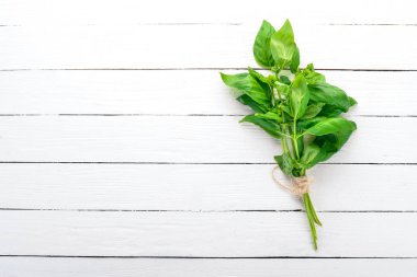 Taze yeşil fesleğen. Üstten görünüm. Arka plan üzerinde. Metin için boş alan.