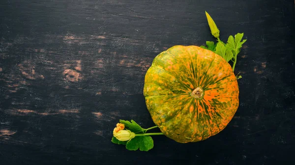 Pumpkin. Fresh vegetables. On a black background. Free space for text. Top view.