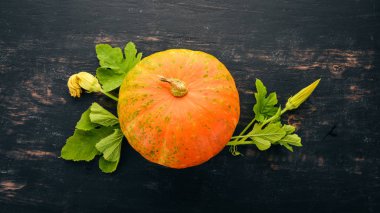 Balkabağı. Taze sebze. Siyah bir arka plan üzerinde. Metin için özgür yer. Üstten görünüm.