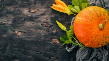 Balkabağı. Taze sebze. Siyah bir arka plan üzerinde. Metin için özgür yer. Üstten görünüm.