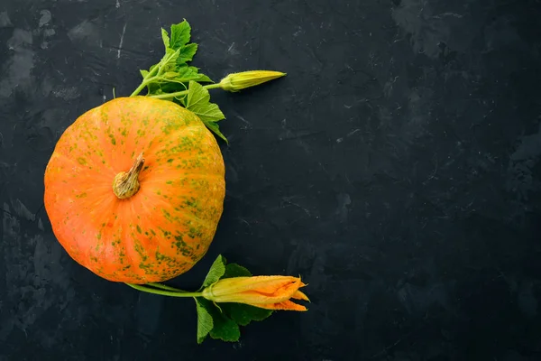 Pumpkin. Fresh vegetables. On a black background. Free space for text. Top view.