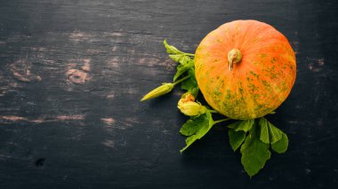 Balkabağı. Taze sebze. Siyah bir arka plan üzerinde. Metin için özgür yer. Üstten görünüm.