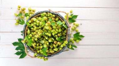 Ahşap kutusunda taze şerbetçiotu. Eski ahşap arka plan üzerinde. Metin için özgür yer. Üstten görünüm.