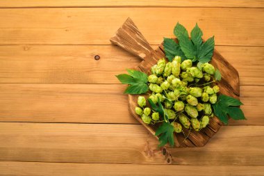 Şerbetçiotu. Eski ahşap arka plan üzerinde. Metin için özgür yer. Üstten görünüm.