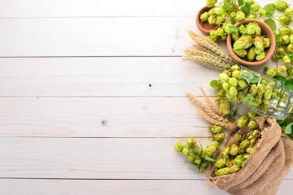 Hopfen Und Weizen Auf Einem Weißen Holztisch Freiraum Für Text — Stockfoto