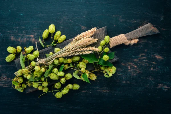 Hop Tarwe Een Zwarte Houten Achtergrond Vrije Ruimte Voor Tekst — Stockfoto