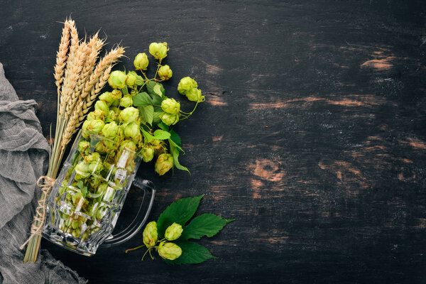 Hops and wheat in a glass for beer. On an old wooden table. Free space for text. Top view.