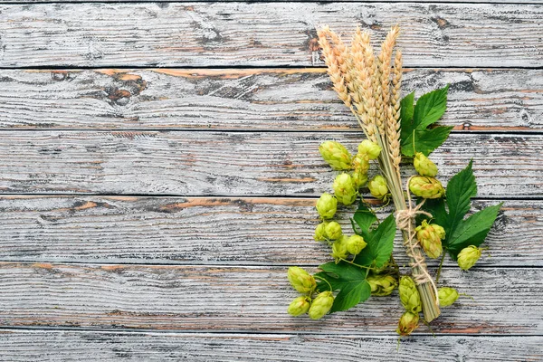 Hopfen Und Weizen Auf Weißem Holzgrund Freiraum Für Text Ansicht — Stockfoto