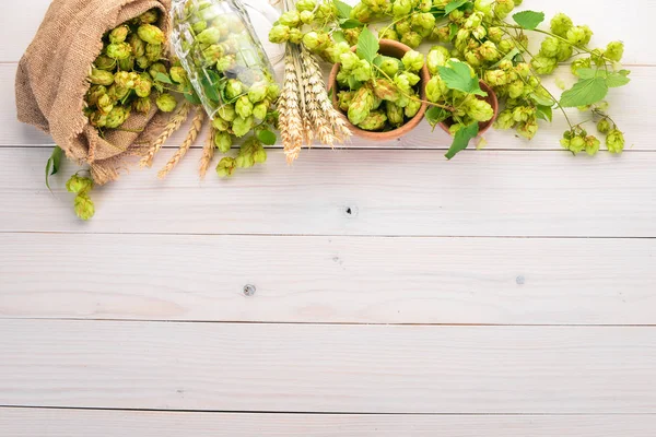 Hops Wheat White Wooden Table Free Space Text Top View — Stock Photo, Image