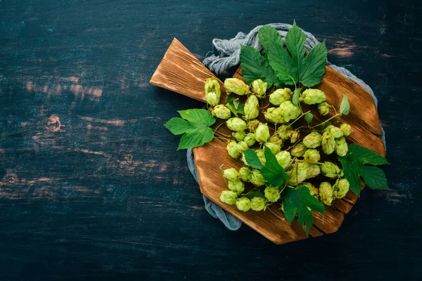 Hops Old Wooden Background Free Space Text Top View — Stock Photo, Image