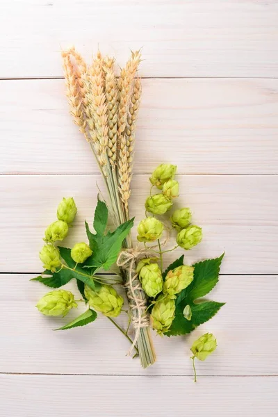 Hops Wheat White Wooden Background Free Space Text Top View — Stock Photo, Image