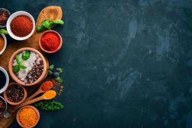 Baharat ve otlar taş bir tablo kümesi. Hint geleneksel baharat. Üstten görünüm. Ücretsiz kopya alanı.