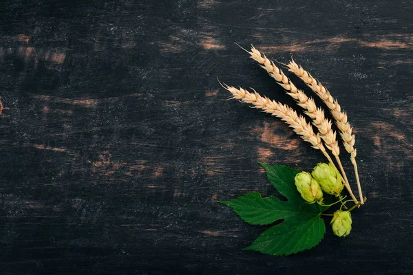 Hops Wheat Black Wooden Background Free Space Text Top View — Stock Photo, Image