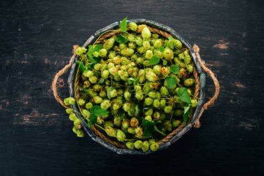 Ahşap kutusunda taze şerbetçiotu. Eski ahşap arka plan üzerinde. Metin için özgür yer. Üstten görünüm.