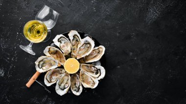 Taze buz ve beyaz şarap ile istiridye. Deniz ürünleri. Üstten Görünüm. Ücretsiz kopya alanı.