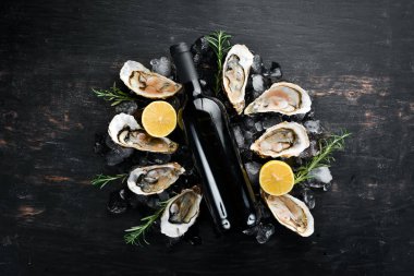 Buz ve kırmızı şarap taze istiridye. Deniz ürünleri. Üstten Görünüm. Ücretsiz kopya alanı.