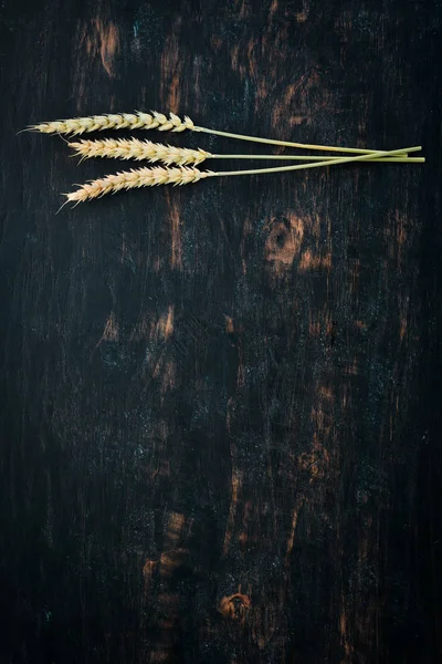 Dry Wheat Top View Black Wooden Background Free Copy Space — Stock Photo, Image