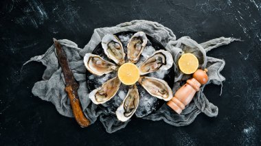 Bir tabak buz ve limon içinde taze istiridye. Deniz ürünleri. Üst görünüm. Ücretsiz kopya alanı.